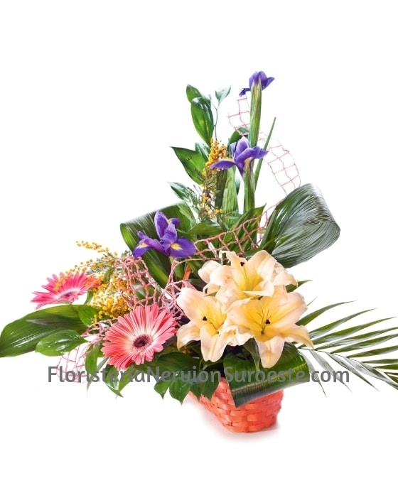 Cesta de Flor Colorida