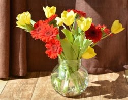 Planta Spathiphyllum, Planta para Regalar, Servicio de Envío Urgente, Flores a Domicilio, Floristería Online, Comprar Flores Online